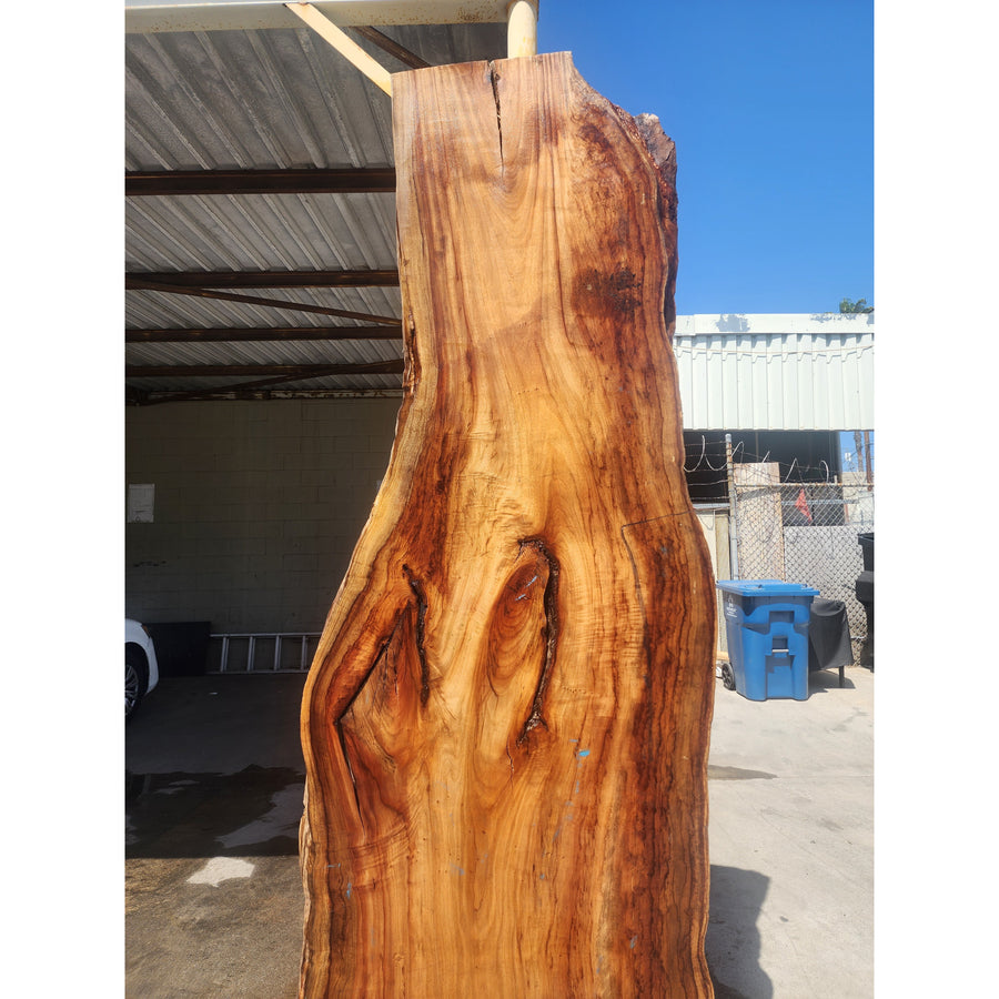 115"L Solid Wood Slab