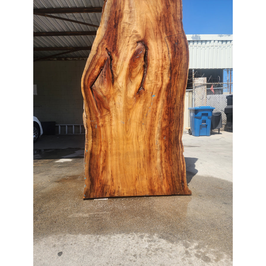 115"L Solid Wood Slab