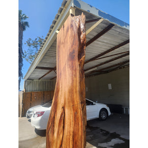 115"L Solid Wood Slab