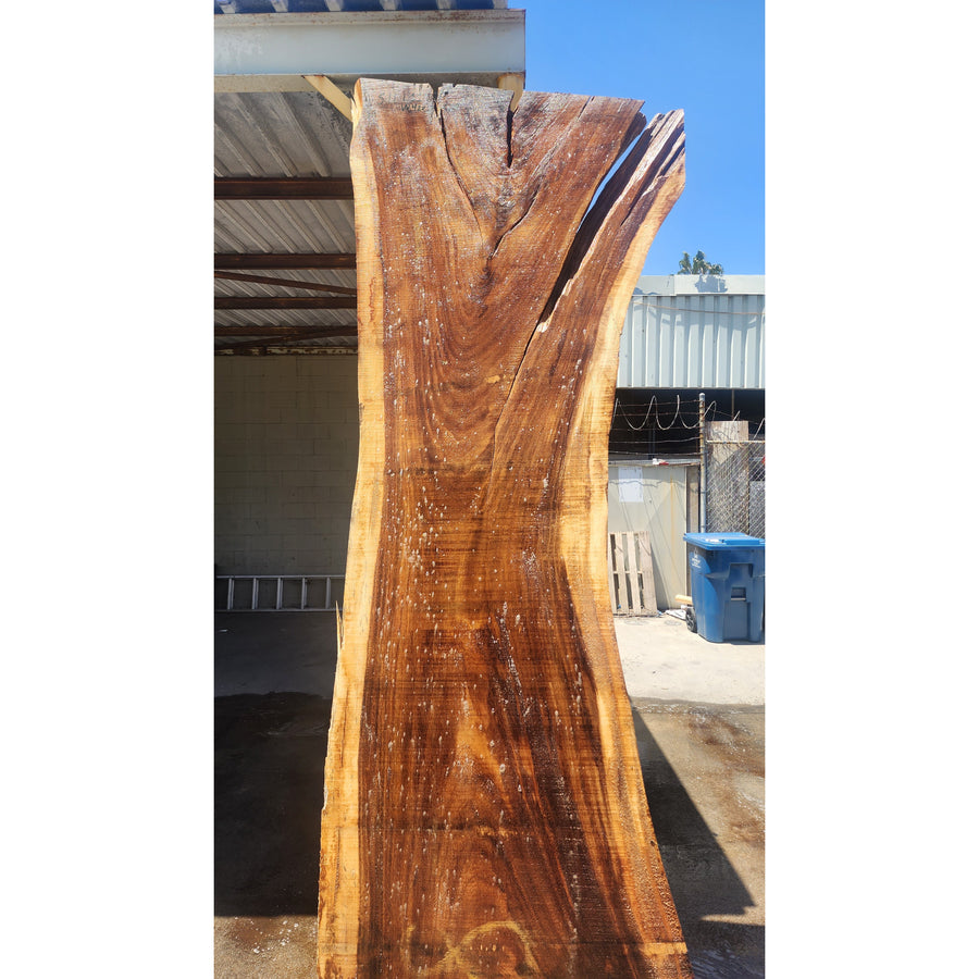 117"L Solid Wood Slab