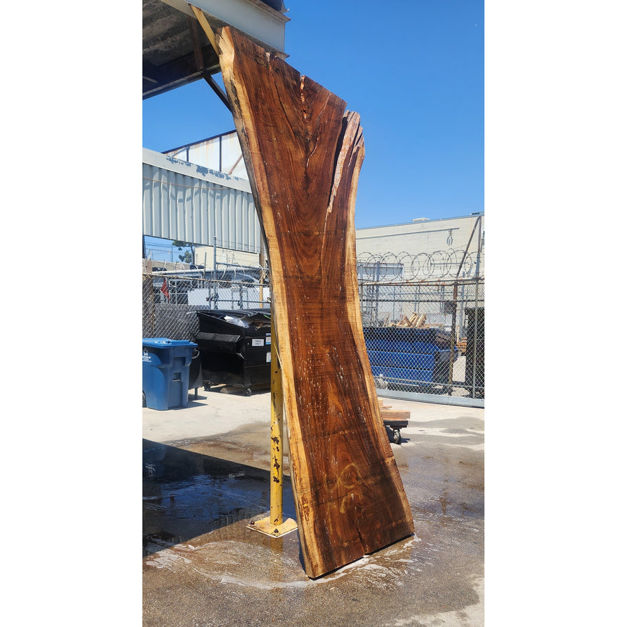 117"L Solid Wood Slab