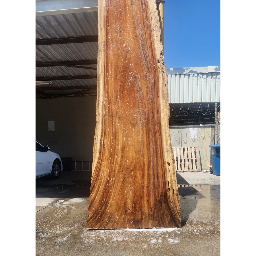 144"L Solid Wood Slab