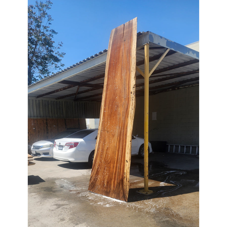 144"L Solid Wood Slab