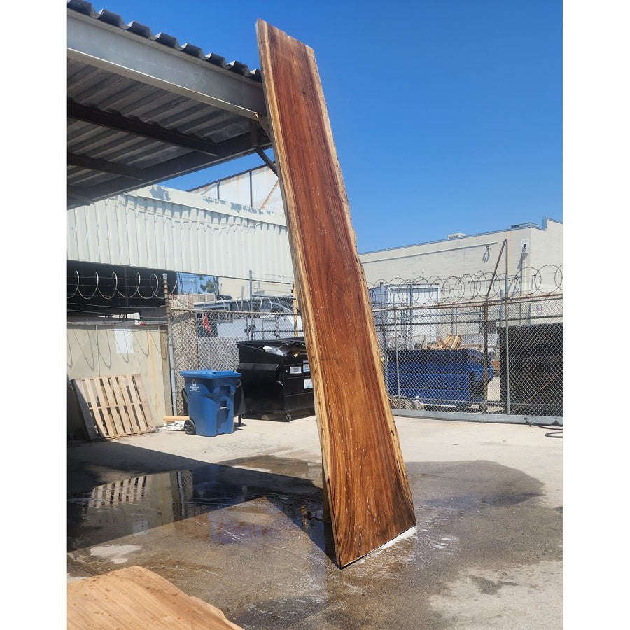 144"L Solid Wood Slab