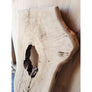 55"L White Oak Slab
