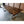 Finely Handcrafted, Custom Stained, Live Edge Acacia wood Dining/Conference Table