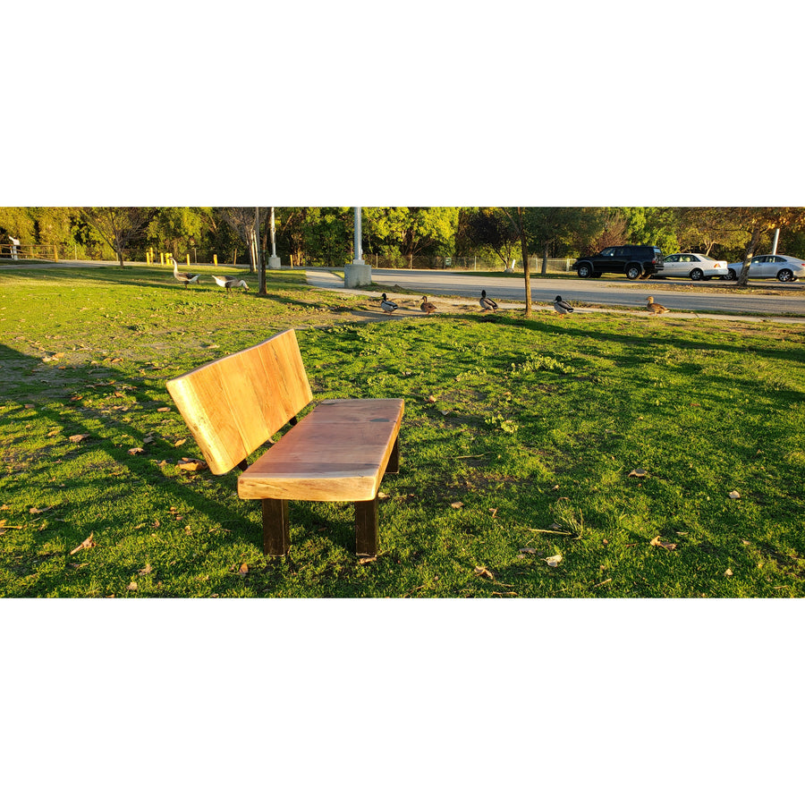Custom Live Edge, Mini Bench