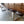 Finely Handcrafted, Custom Stained, Live Edge Acacia wood Dining/Conference Table
